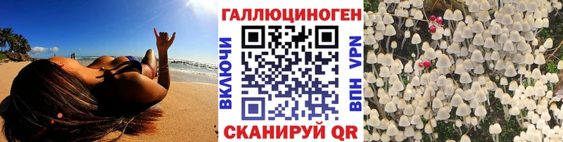 Галлюциногенные грибы мухоморы Улан-Удэ