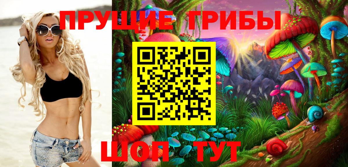 Псилоцибиновые грибы мицелий Улан-Удэ
