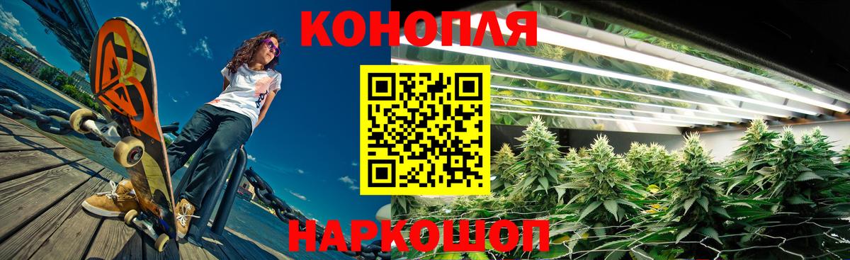 Канабис ГИДРОПОН  Шишки марихуана SATIVA & INDICA  Улан-Удэ  МАРИХУАНА план  Вход с VPN 